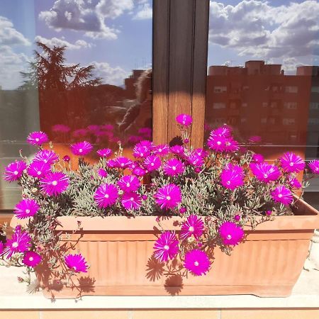 L'Orchidea Di Ale Bed & Breakfast Tivoli Terme Eksteriør bilde