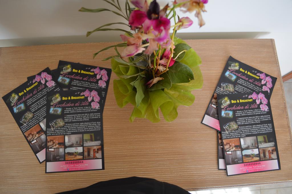 L'Orchidea Di Ale Bed & Breakfast Tivoli Terme Eksteriør bilde