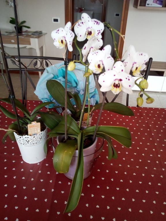 L'Orchidea Di Ale Bed & Breakfast Tivoli Terme Eksteriør bilde