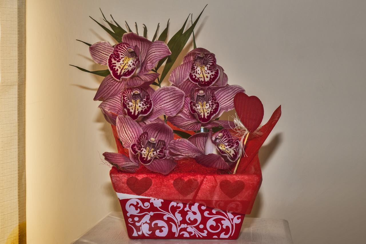 L'Orchidea Di Ale Bed & Breakfast Tivoli Terme Eksteriør bilde